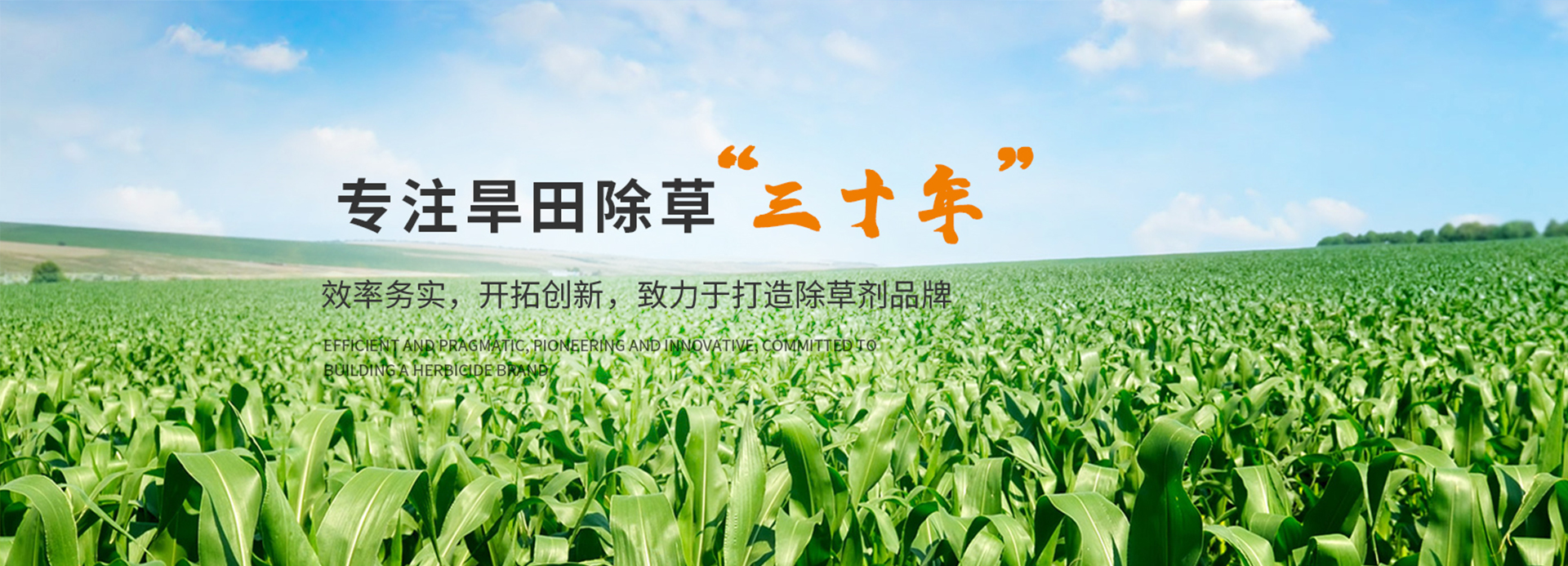 新乡中电除草剂有限公司